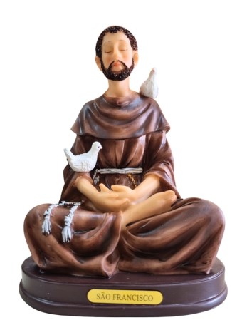 SAO FRANCISCO MEDITANDO 19CM VIVERE