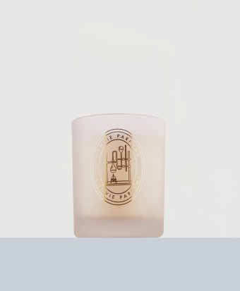 VELA PERFUMADA ALECRIM 210G LENVIE